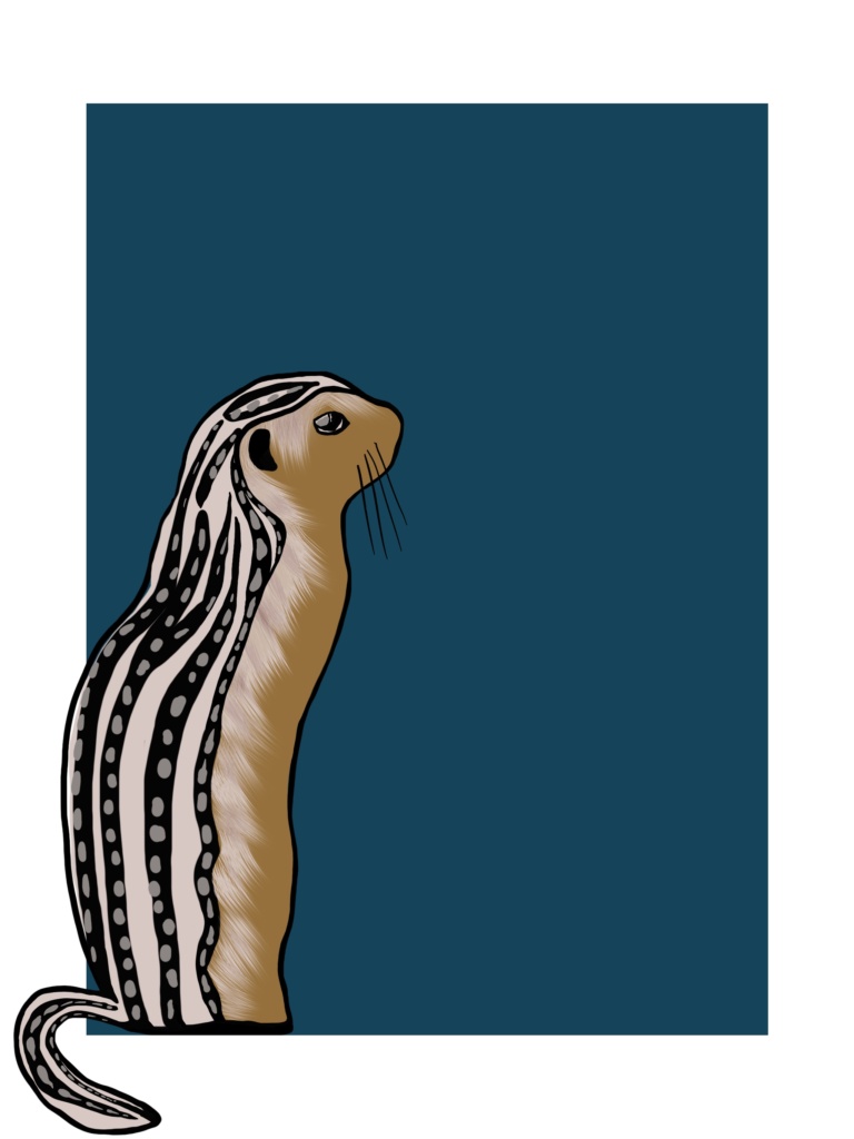 Thirteen Lined Ground Squirrel