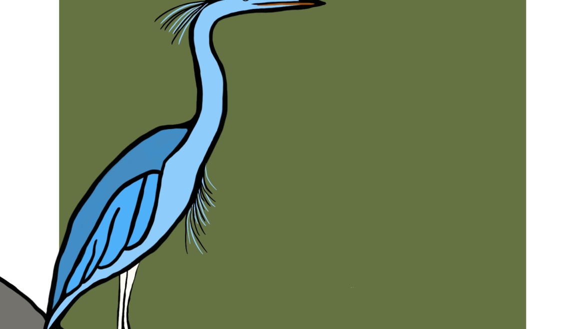 Great Blue Heron