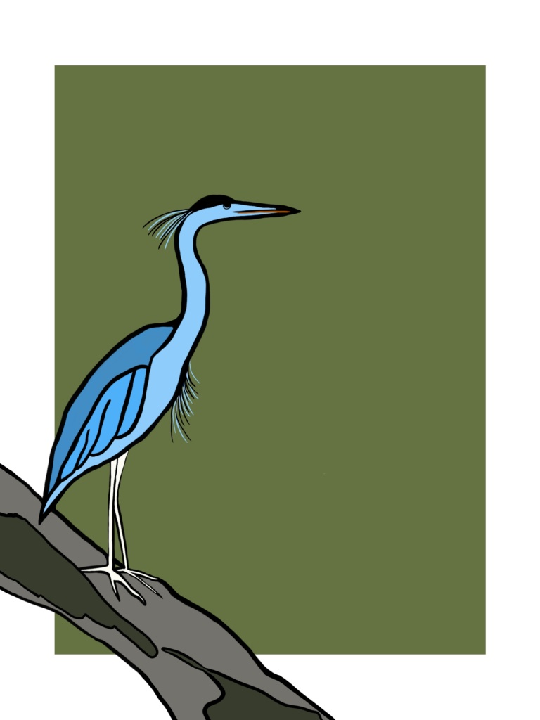 Great Blue Heron
