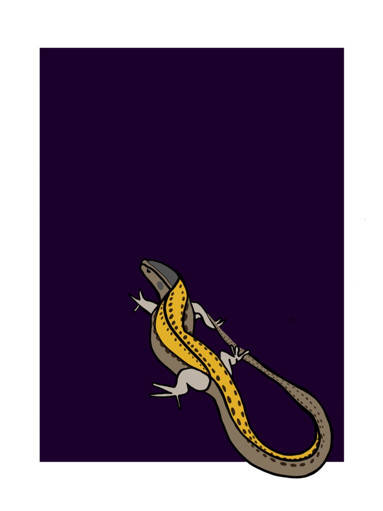 european wall lizard