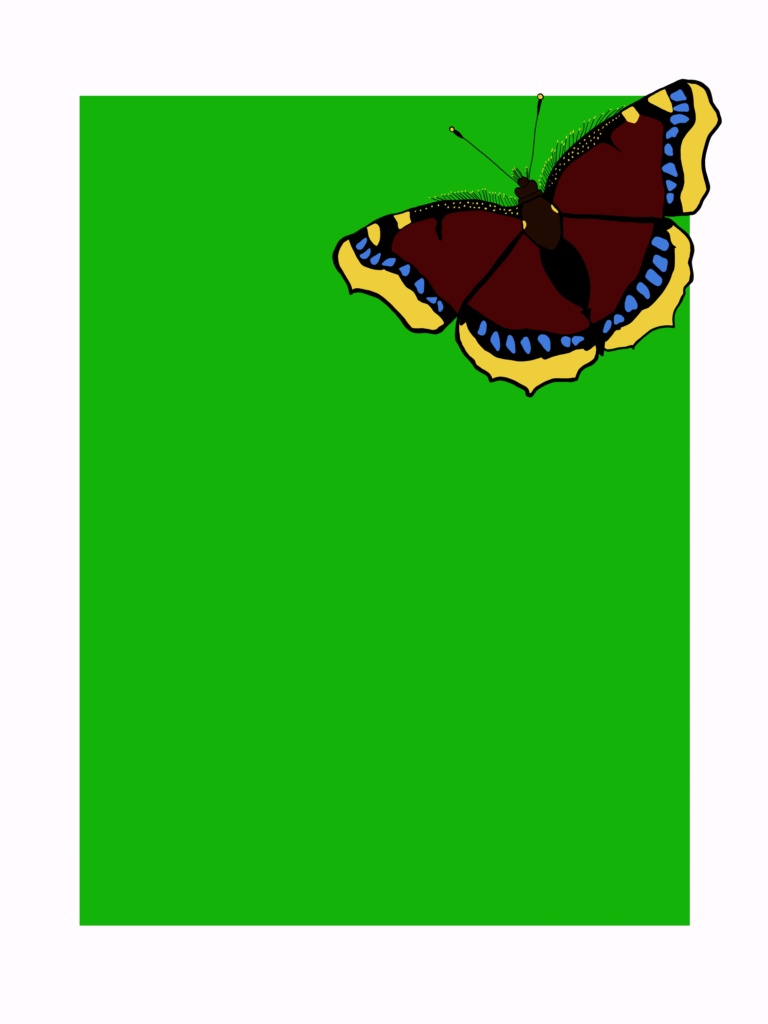 Mourning Cloak (moth)
