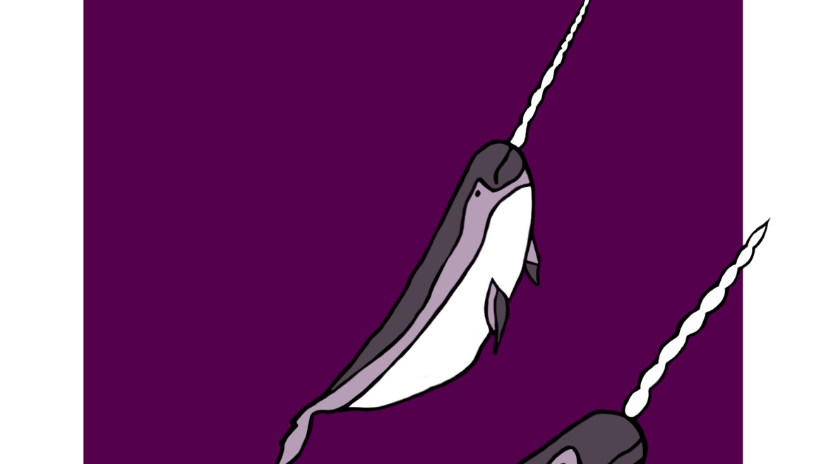 Narwhal