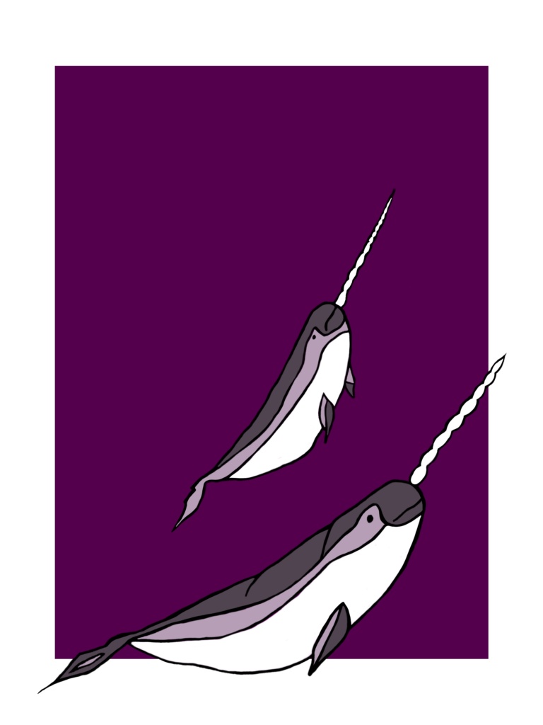 Narwhal