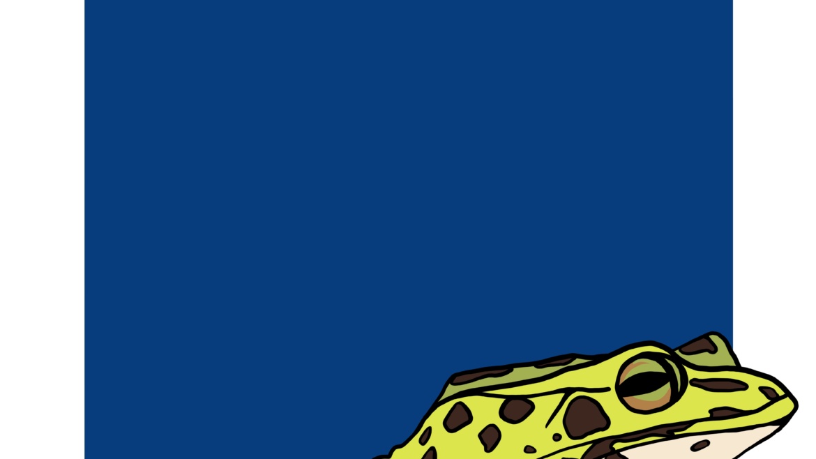 frogs frog