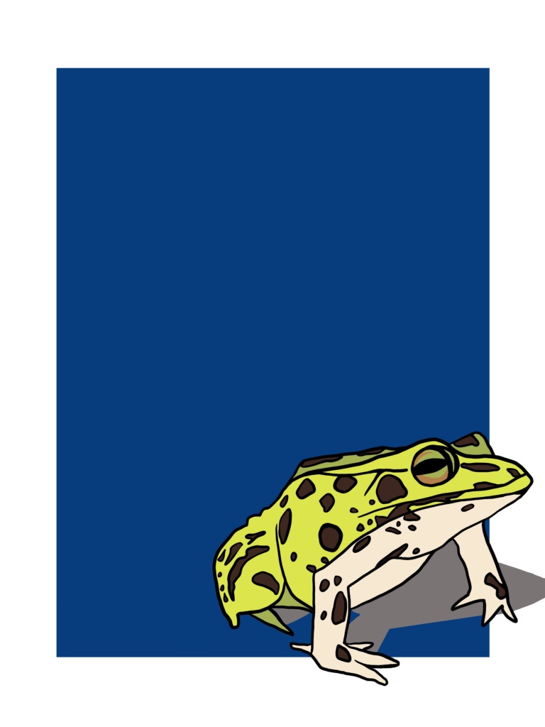 frogs frog